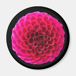 Imã Ímã de Geladeira Redondo Flor de Dália Rosa Presen