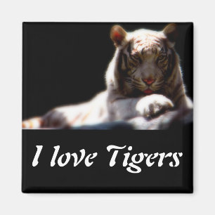Imã Ímã de Geladeira Tigre Branco