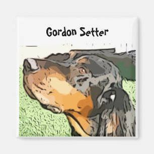 Imã Ímã de Gordon Setter