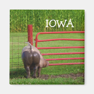 Imã Ímã de Iowa