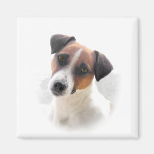 Imã Ímã de Jack Russell