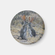 Ímã de Jackrabbits