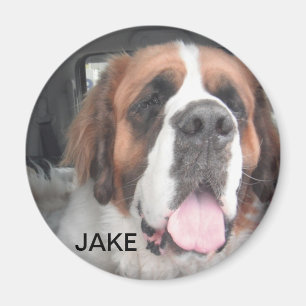IMÃ ÍMÃ DE JAKE