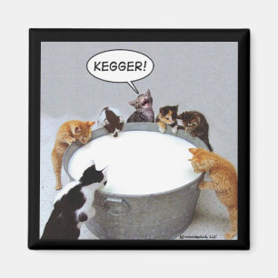 Imã Ímã de Kegger do gato