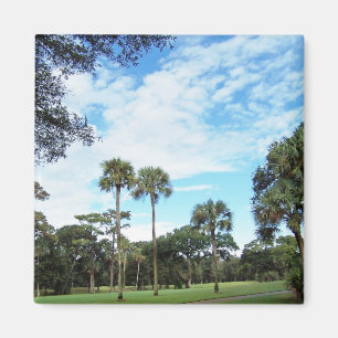 Imã Ímã de Kiawah Island
