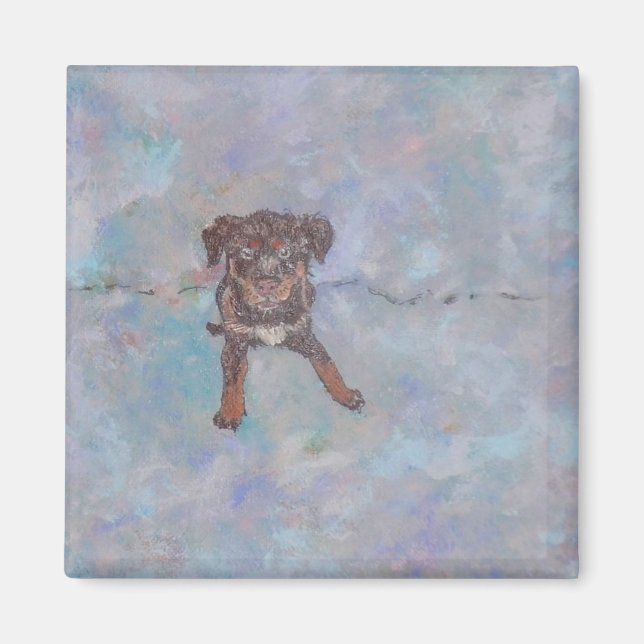 Imã Ímã de Lab Mix Fofo (Frente)