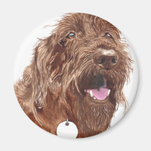 Imã Ímã de Labradoodle #1 do chocolate