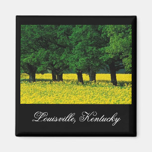 Imã Ímã de Louisville, Kentucky