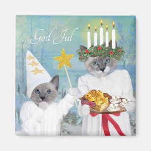 Imã Ímã de Lucia do papai noel dos gatinhos