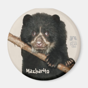 Imã Ímã de Mazharito