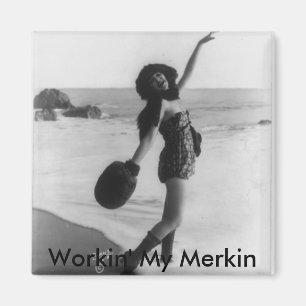 Imã Ímã de Merkin
