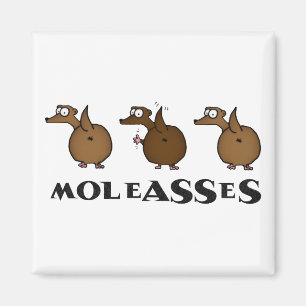 Imã Ímã de Moleasses