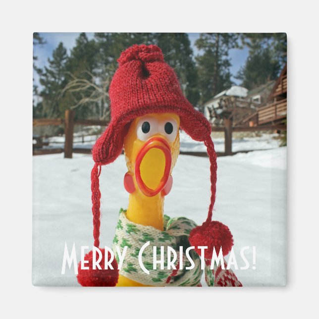 Imã Ímã de Natal de Frango Adorável! (Frente)
