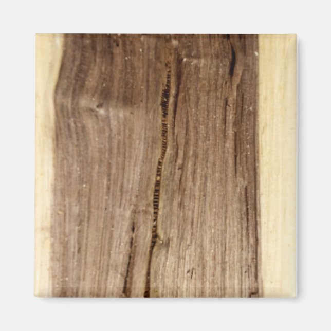 Imã Ímã de Noz (Frente)