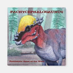 Imã Ímã de Pachycephalosaurus