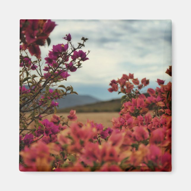 Imã Ímã de Paisagem de Flores de Bougainvillea Vermelh (Frente)