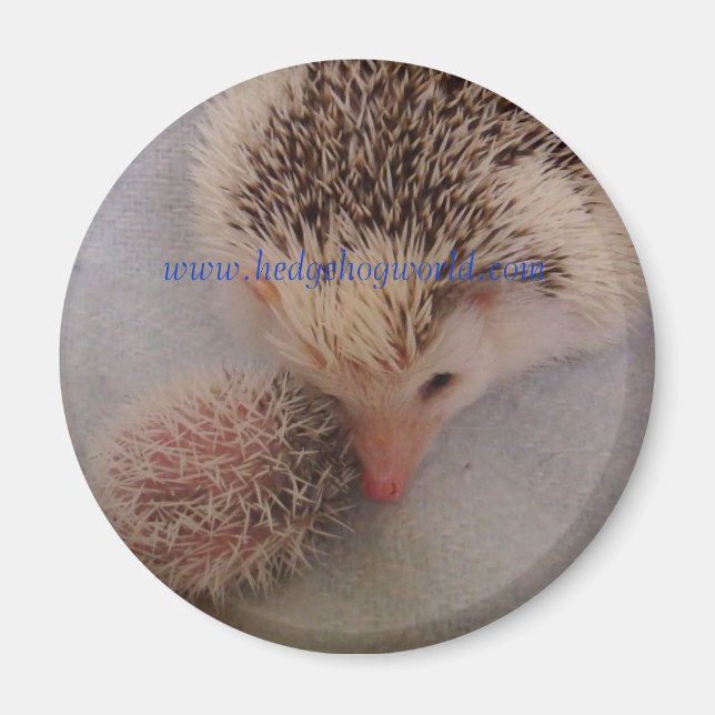 Imã ímã de par pinto (Frente)