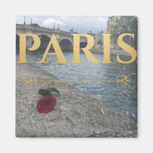 Imã ímã de Paris
