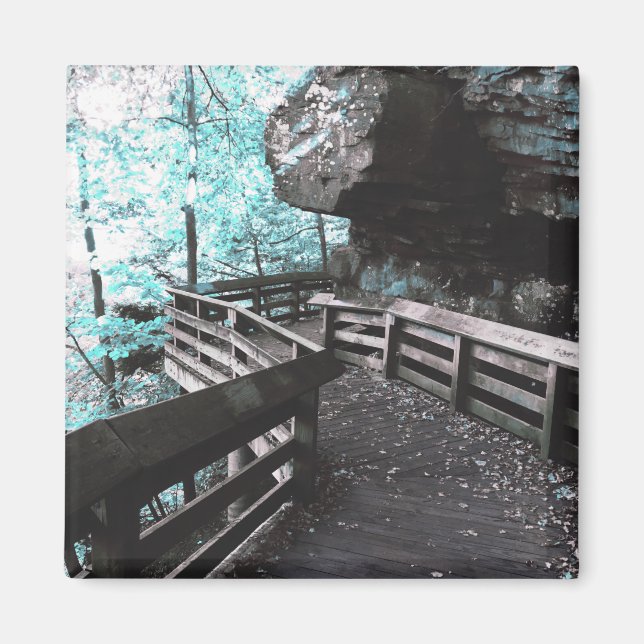 Imã ímã de passeio de brandywine (Frente)