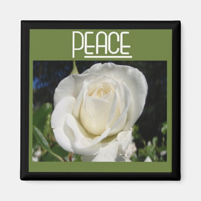 Imã ímã de paz (Frente)