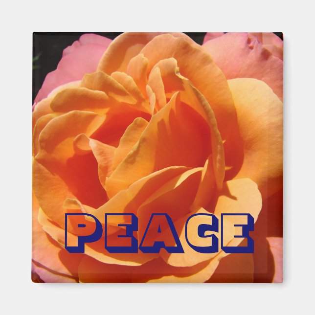 Imã ímã de PAZ Laranja Rosa Flor natureza (Frente)