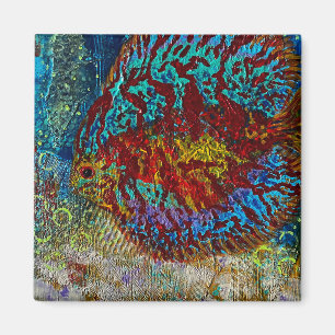 Imã Ímã de Peixe de Disco