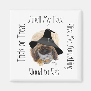 Imã Ímã de Pekingese