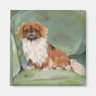 Imã Ímã de Pekingese