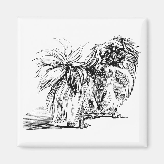 Imã Ímã de Pekingese (Frente)