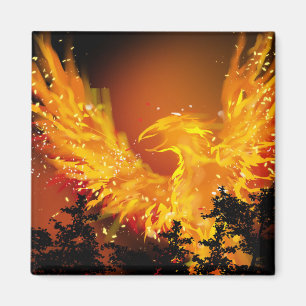 Imã Ímã de Phoenix em vôo