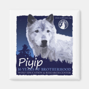 Imã Ímã de Piyip