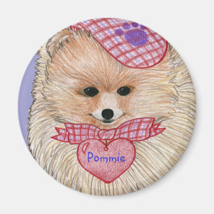 Imã Ímã de Pomeranian