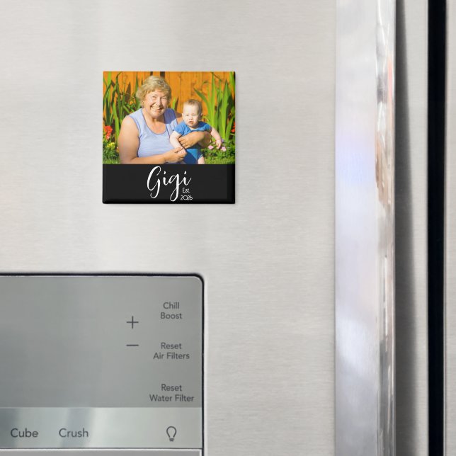 Imã Ímã de Presente de Foto Estabelecida Gigi (In Situ (Fridge))