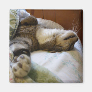 Imã Ímã de relaxamento de Thomas