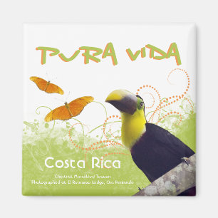 Imã Ímã de Rican Pura Vida da costela