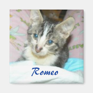 Imã ímã de romeo