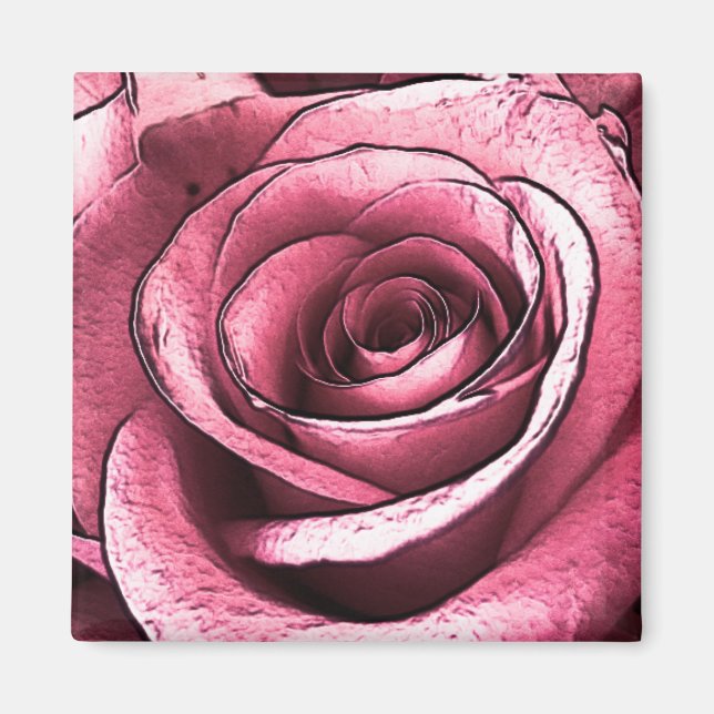 Imã Ímã de Rosa Rosa (Frente)