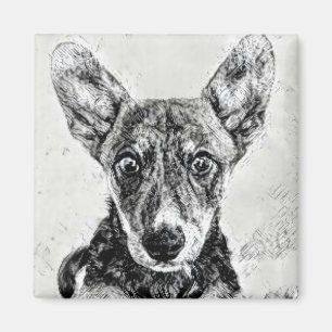 Imã Ímã de Rosto de Cachorro Fofo