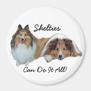 Imã Ímã de Sheltie