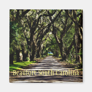 Imã ímã de South Carolina do beaufort