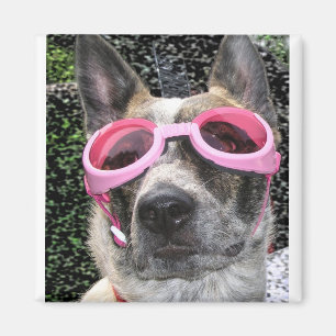 Imã Ímã de Surrey