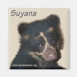 Imã Ímã de Suyana