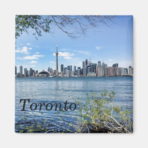 Imã ímã de toronto