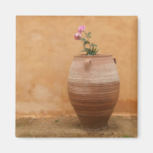 Imã Ímã de Toscânia