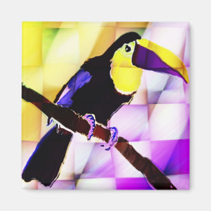 Imã Ímã de Toucan