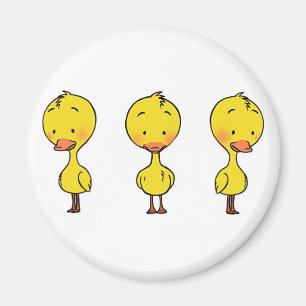 Imã Ímã de três patos