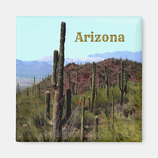Imã Ímã de Tucson Arizona (Frente)