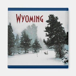 Imã Ímã de Wyoming