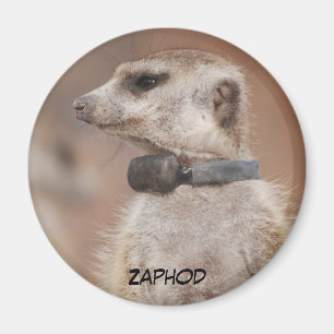 Imã Ímã de Zaphod