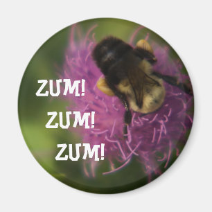 Imã Ímã de Zum Zum Zum